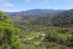 Land for Sale in Paphos Cyprus