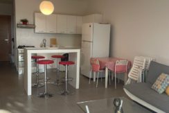 Furnished Apartment for Rent in Fidar
