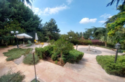 Furnished Apartment for Rent in Broumana