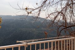 Mountain View Apartment For Sale In Monteverde