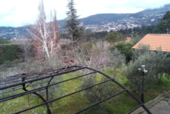 Land and House for Sale in Chbaniye