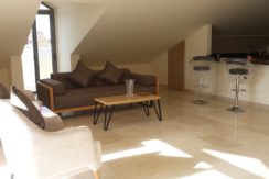 Furnished Rooftop for Rent in Monteverde