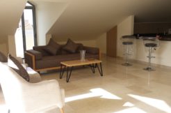 Furnished Rooftop for Rent in Monteverde