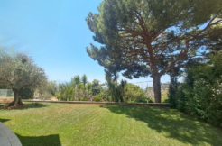 Apartment for Rent in Monteverde