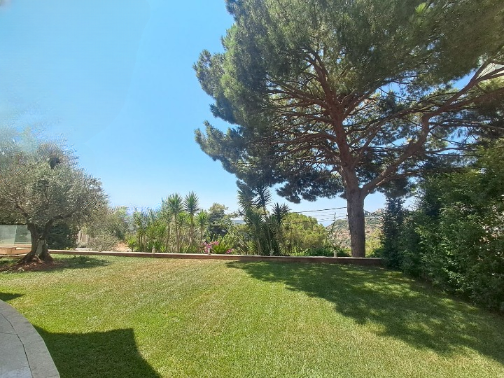 Apartment for Rent in Monteverde