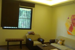 Furnished Sous Sol Apartment For Rent In Naccache