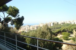 Sea View Sous Sol Apartment For Sale In Rabieh