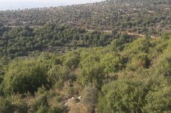 Land For Sale In Bechtoudar Batroun