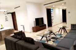 Mountain View Apartment For Rent Or Sale In Beit Misk