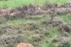 Land for Sale in Chwaya – Prime Investment Opportunity