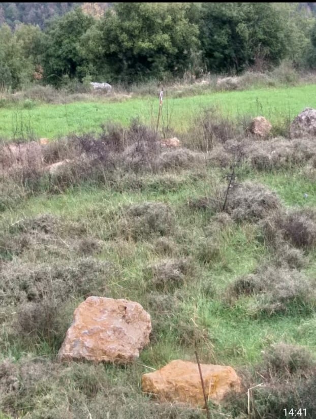 Land for Sale in Chwaya – Prime Investment Opportunity