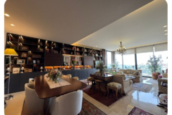 Apartment for Rent or Sale in Monteverde