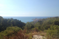 Land for Sale in Chnaniir