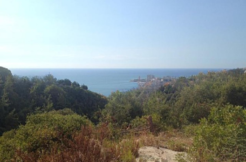 Land for Sale in Chnaniir