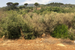 Land for Sale in Beit Mery