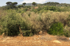 Land for Sale in Beit Mery