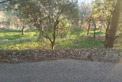 Land for Sale – Zaroun