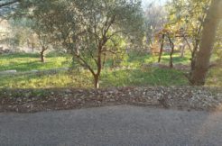 Land for Sale – Zaroun