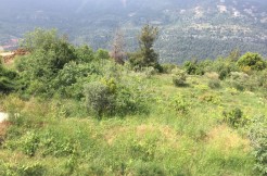 Land For Sale In Kortada