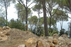 Land For Sale In Oyoun – Broumana