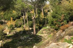 Land For Sale In Oyoun Broumana