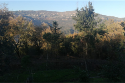 Land For Sale In Jezzine