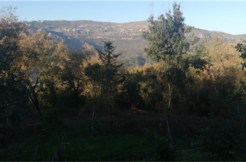 Land For Sale In Jezzine