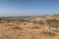 Land For Sale In Baskinta- Bekiche