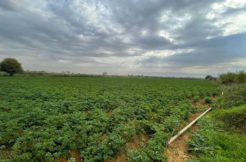Agricultural Land For Sale In Zahle