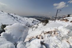 Land for Sale in Zaarour