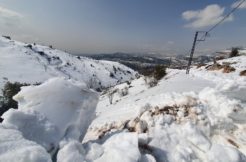 Land for Sale in Zaarour