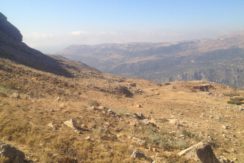 Land for Sale in Mtein