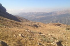 Land for Sale in Mtein