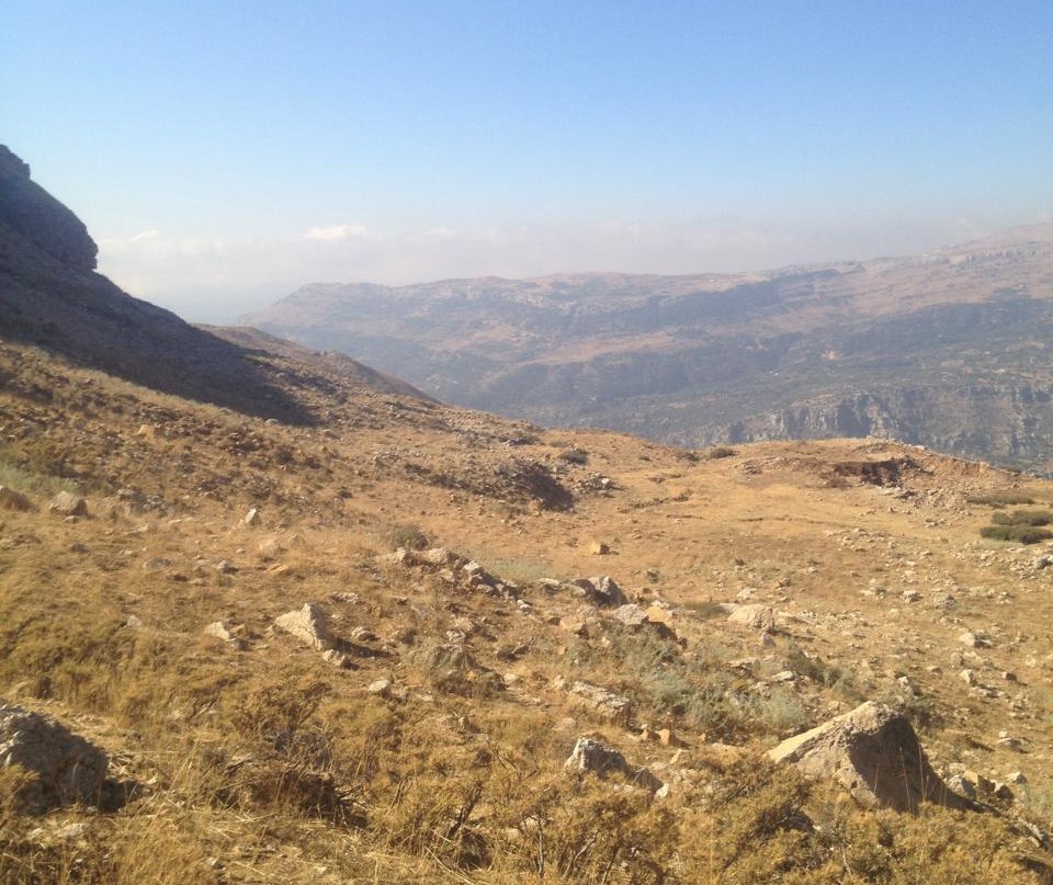 Land for Sale in Mtein