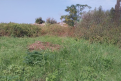 Land for Sale in Batroun
