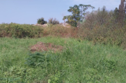 Land for Sale in Batroun