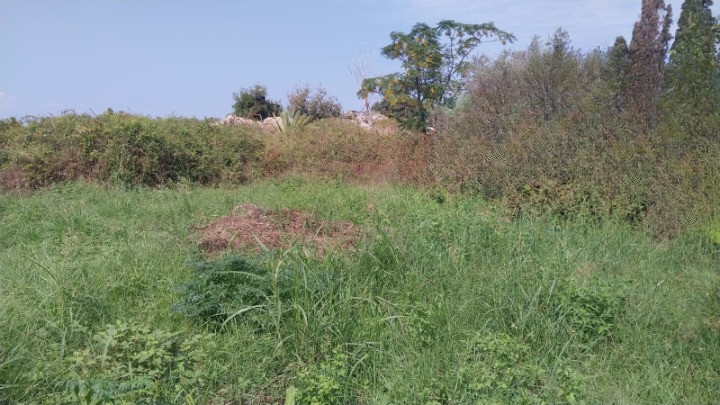 Land for Sale in Batroun