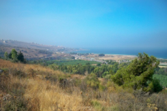 Land for Sale in Damour