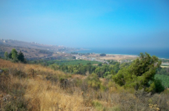 Land for Sale in Damour
