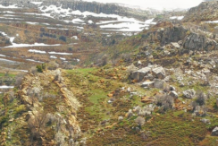 Land for Sale in Tannourine Fawka – Laklouk