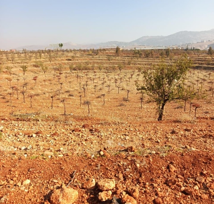 Land for Sale | Raiit, Bekaa