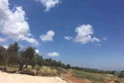 Mountain View Land For Sale In Bsarma – Koura