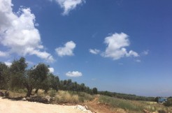 Mountain View Land For Sale In Bsarma – Koura