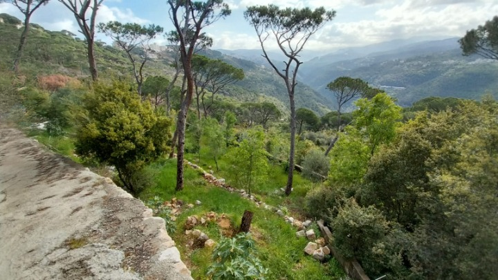 Villa for Sale – Beit Mery