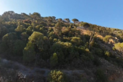 Land for Sale in Baabdat