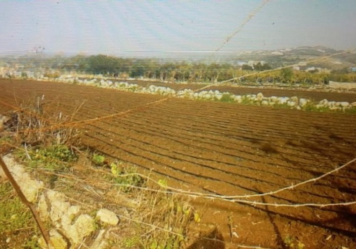 Land for Sale in Damour
