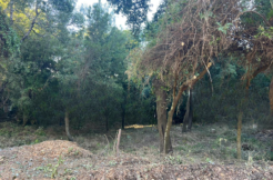 Land For Sale In Beit Mery