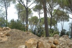 Land For Sale In Oyoun – Broumana